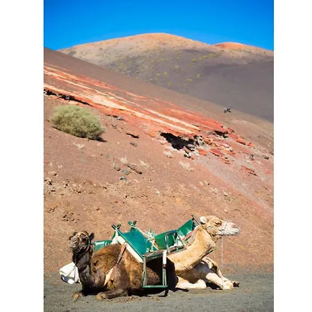 아파트 Jardines 2 푸에르토 델 카르멘