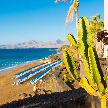 Jardines 2 * 푸에르토 델 카르멘