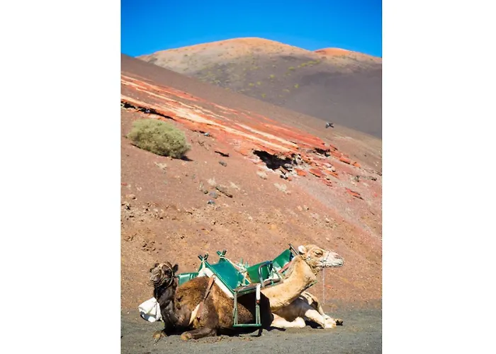 Apartamento Jardines 2 Puerto del Carmen (Lanzarote)